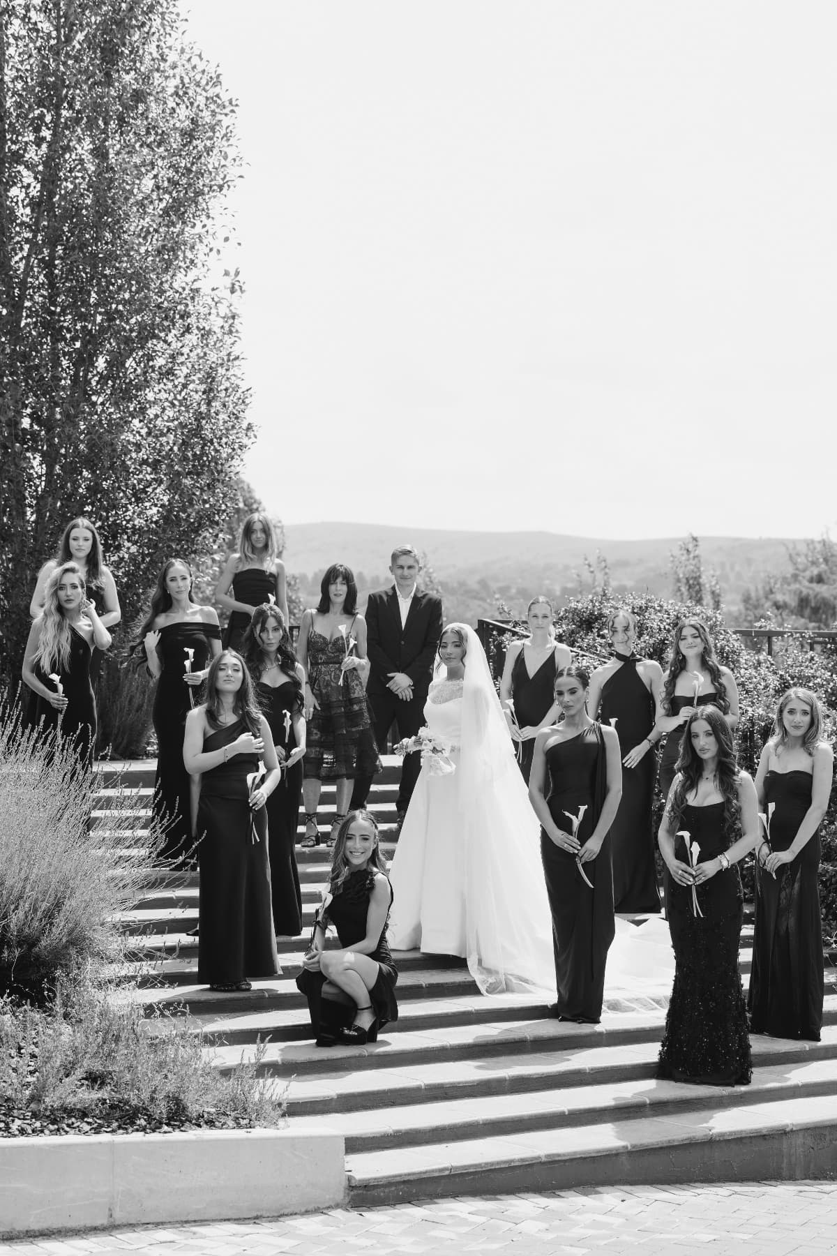 A & D , photo 34