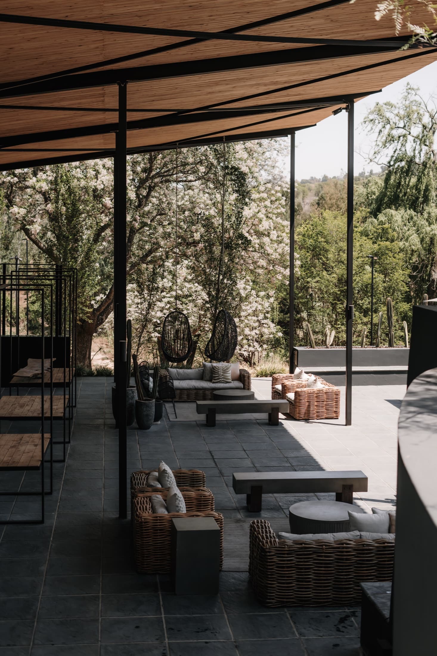 The Canapé Area