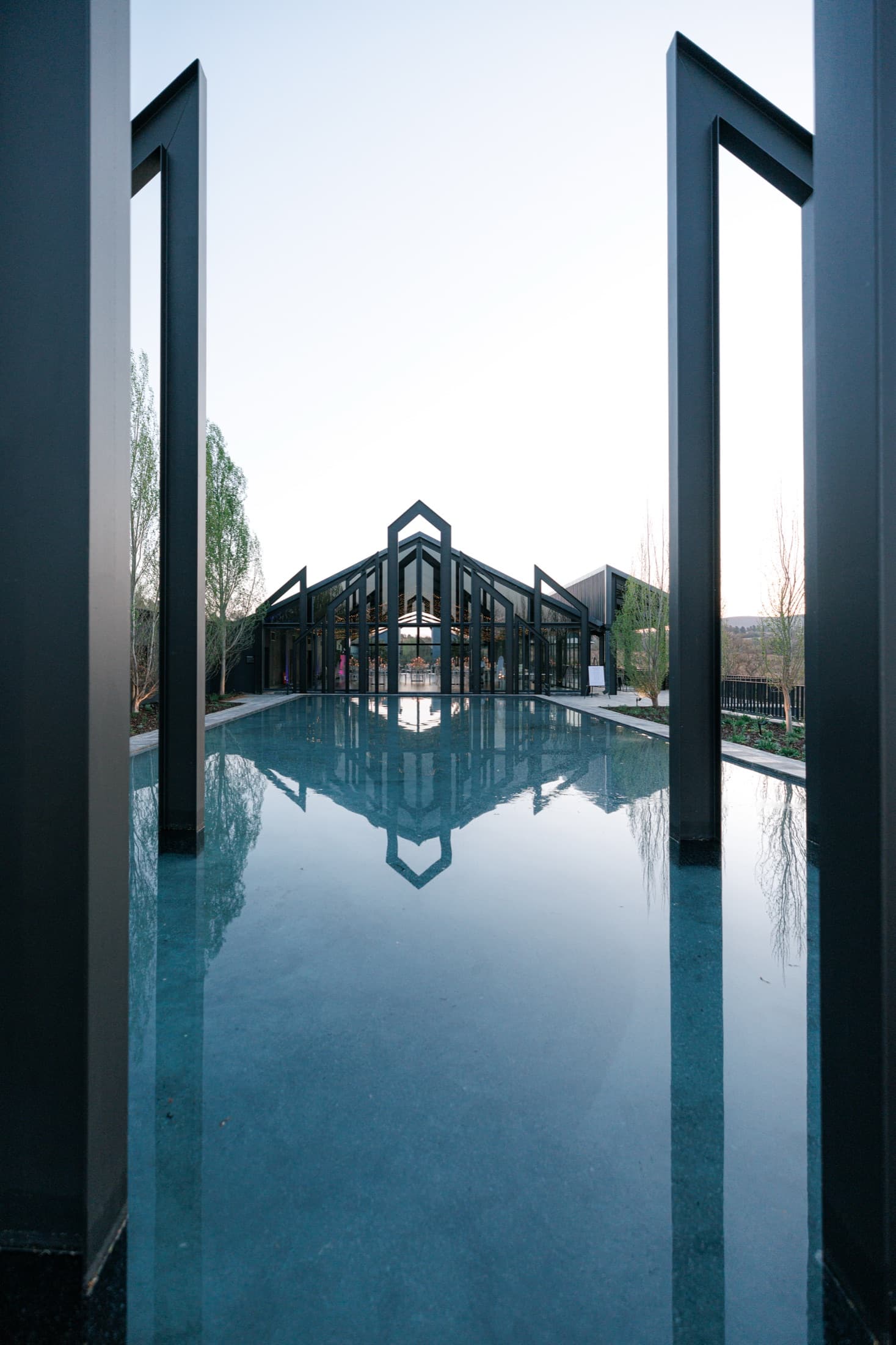 Glass and forest
